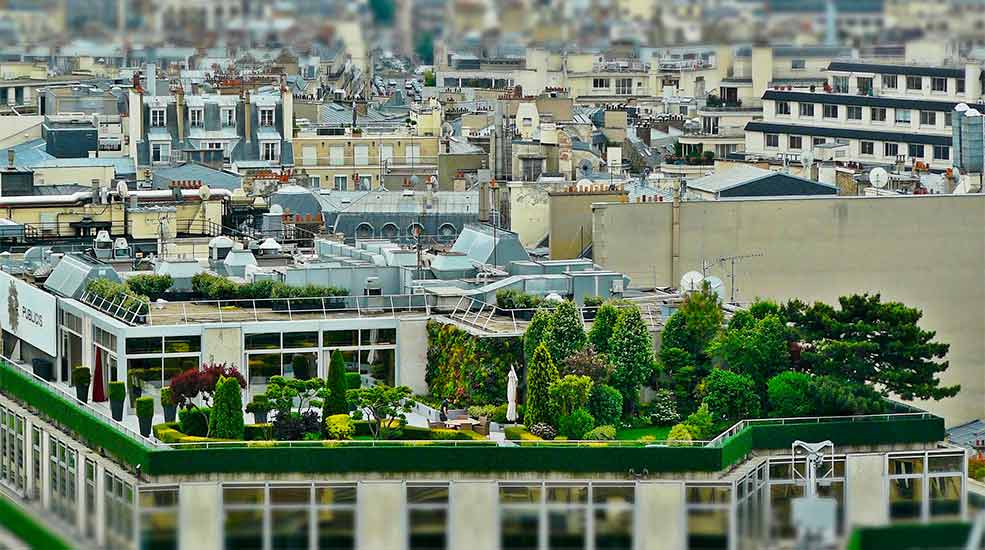 Projets urbains : mélanges allégés pour environnement florissant