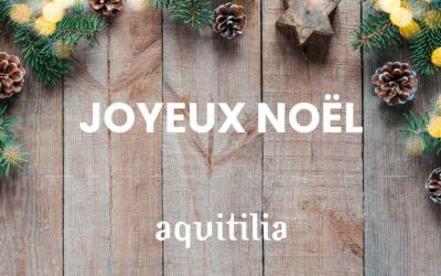 Joyeux Noël de la part de toute l’équipe AQUITILIA ! 🎄🌟