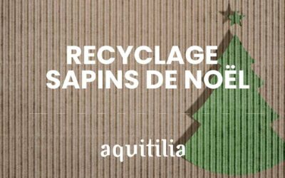 2e vie de votre sapin sur notre plateforme de compostage ! 🌱🎄