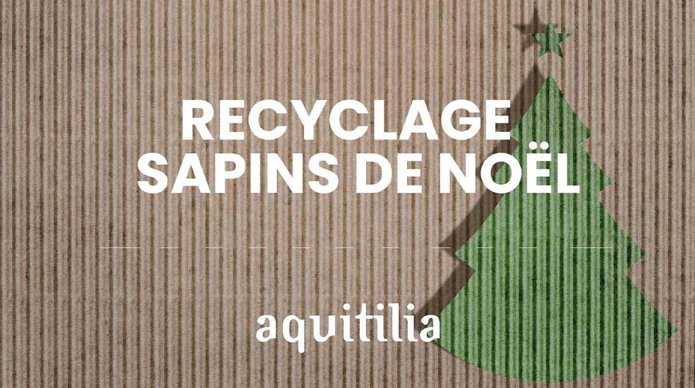 recyclage des sapins de noël pour professionnels aquitilia