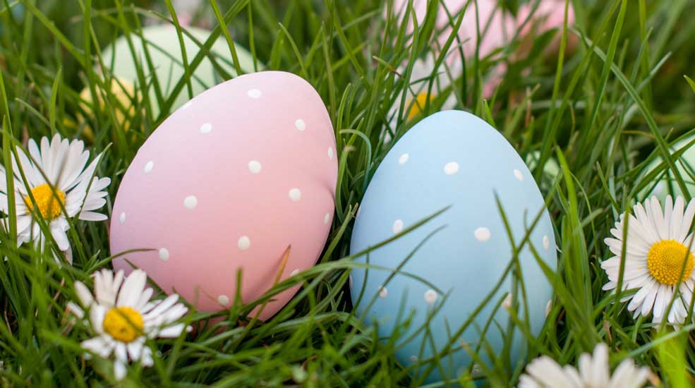 Joyeuses pâques fleurs oeuf dans l'herbe Aquitilia