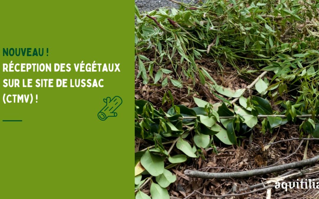 NOUVEAU !  Réception des végétaux sur le site de Lussac (CTMV)